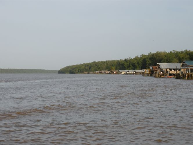 Comunidad Warao en el delta del Orinoco