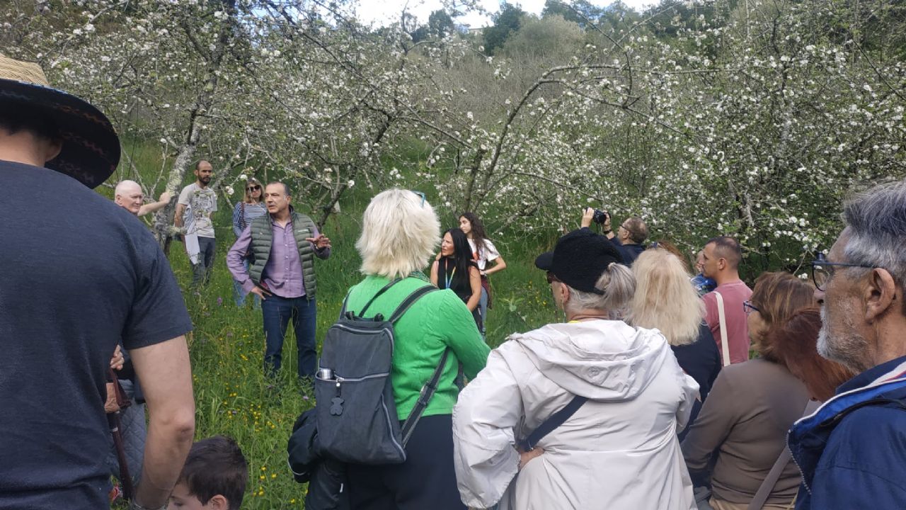 Visita a una pumarada en flor en Bimenes viernes 2 de mayo de 2025