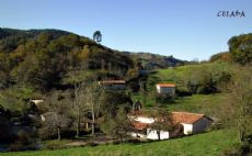 Santa Mara de Celada